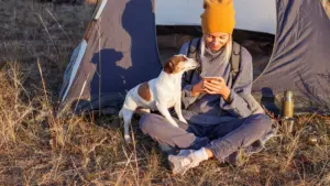 Woman checking drawdown calculation on mobile phone while camping with her dog